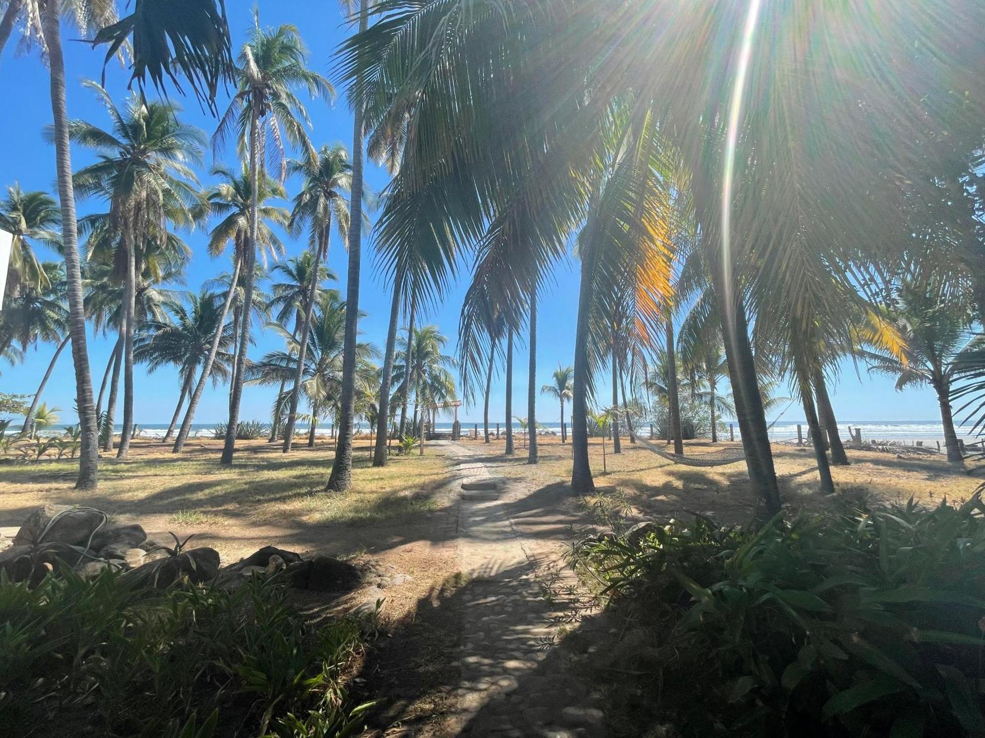 Sugarloaf Beach House & Surf Lodge El Cuco Bagian luar foto